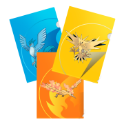 PKM 3-Pack Tournament Folios (Zapdos, Moltres, Articuno)