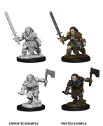 Pathfinder: Deep Cuts Female Dwarf Barbarian Minis