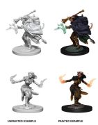 Female Tiefling Warlock Nolzur Marvelous Miniature