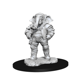 Magic: The Gathering Unpainted Miniatures: Quintorius, Field Historian