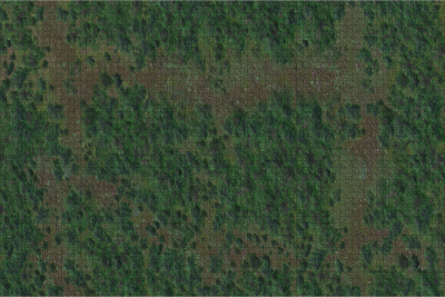 DD5 Icons: Forest Battle Mat