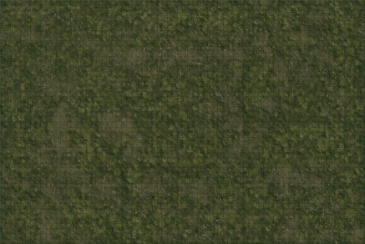 DD5 Icons: Grasslands Battle Mat