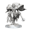 Dungeons & Dragons Nolzur's Mini: Aasimar Male Cleric