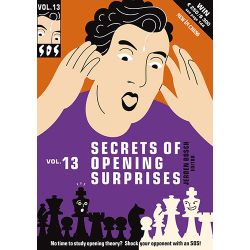 SECRETS OF OPENING SURPRISES VOL. 13