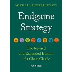 ENDGAME STRATEGY REVISED AND EXPANDED