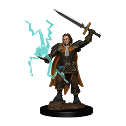 Pathfinder Battles: Premium Painted Figure - Human Cleric Male