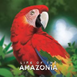 Life Of Amazonia Retail