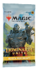 Dominaria United IT Draft Booster Display