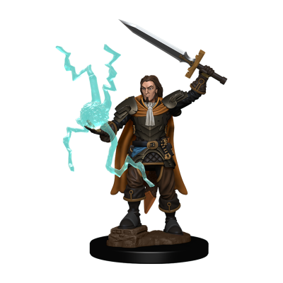 Pathfinder Battles: Premium Painted Figure - Human Cleric Male