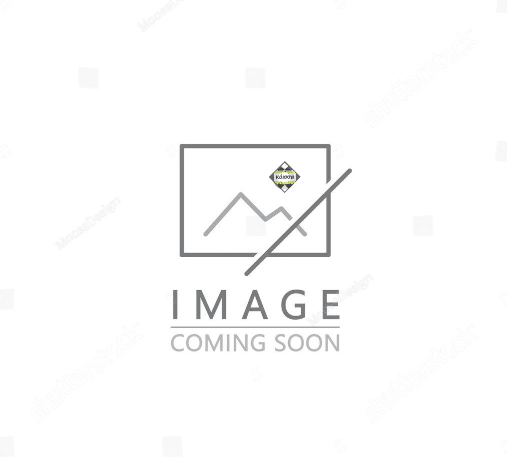 Dragon Shield Card Codex 576 Forest Green