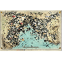 DD5 Baldur's Gate Map (58 x 43cm)